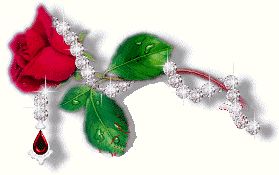 pour sokhna 